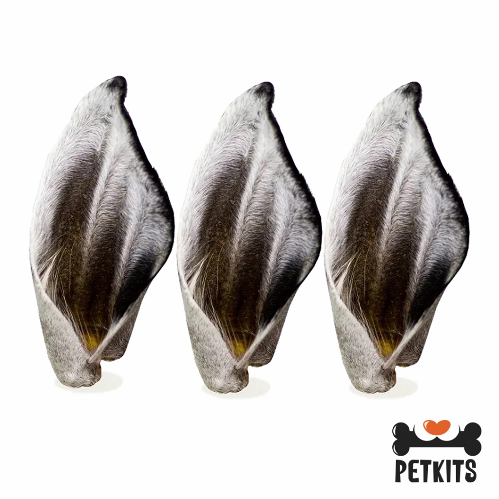 Orelha Desidratada para Cachorro: Onde Comprar | BuscaProdutos