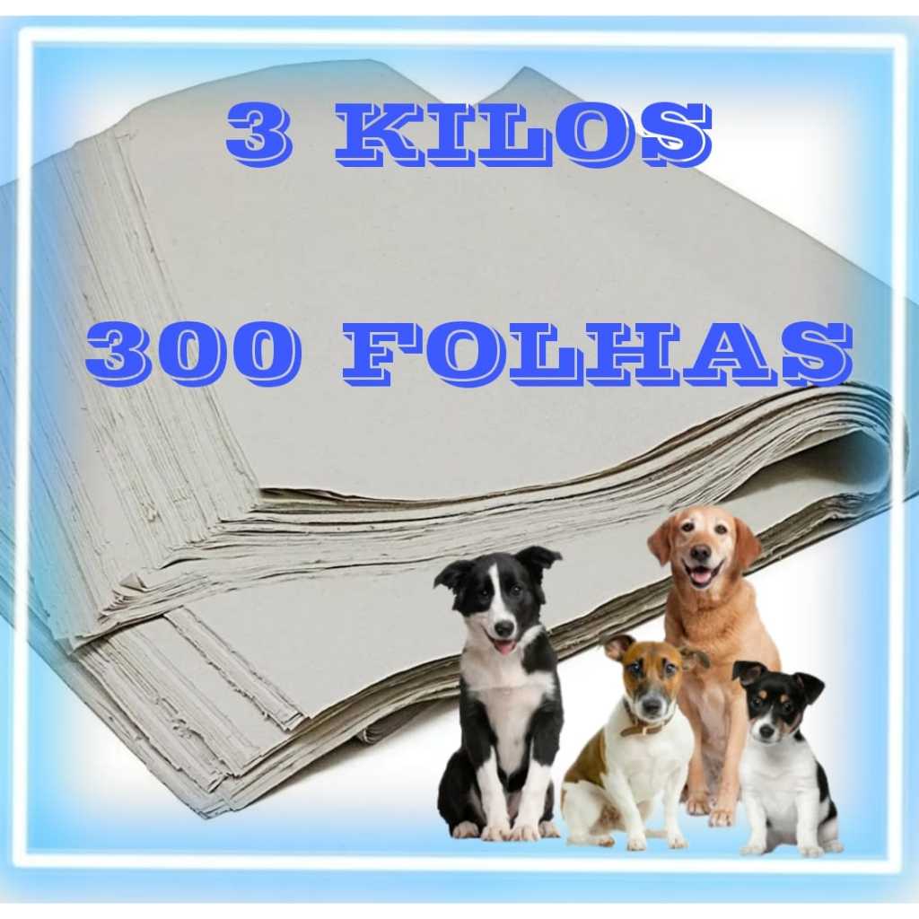 3 kg de papel jornal pet limpo sem cheiro folhas grandes 70x50.