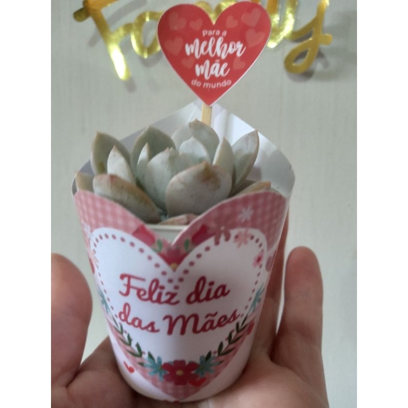 20 rótulos personalizados para lembrancinhas de suculentas-Tema dia das mães