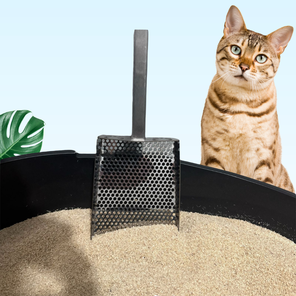 Pazinha Higiênica Coletora de Areia Pet Gato Cachorro Aço Inoxidável - Unishop em Oferta na Shopee