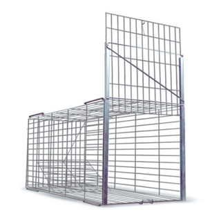 Gaiola Gatoeira Gatos Animais Pequeno Transporte Resgate em Oferta na Shopee