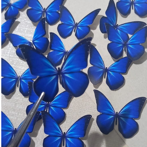 Buque de Doces: Guia Completo e Onde Comprar | BuscaProdutos