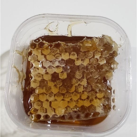 FAVO DE MEL PEDAÇO 120G - PEDAÇO DE FAVO DE MEL em Oferta na Shopee