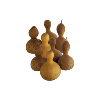 Cabaça Porongo Cuia Mini Para Artesanato Kit 5 Und - Oferta em Oferta na Shopee