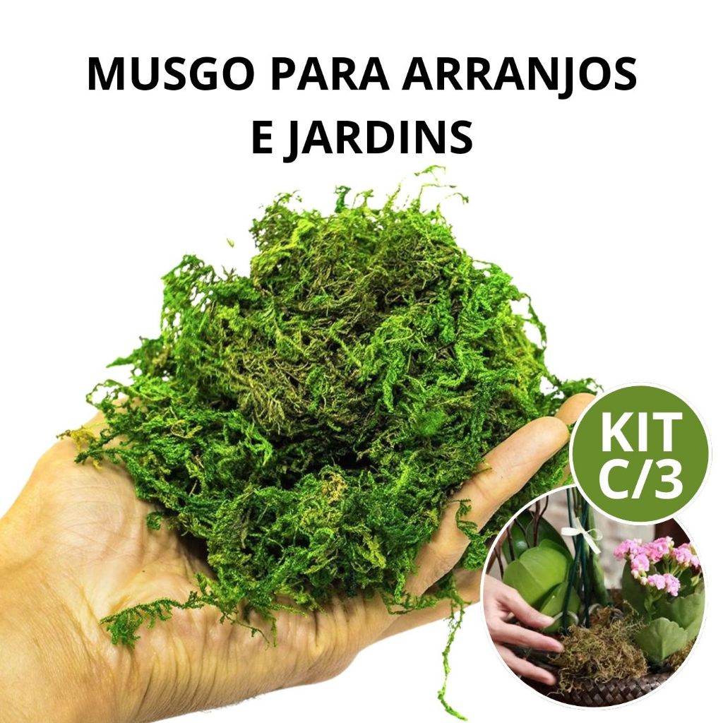 Musgo Esfagno Seco Verde Para Orquídeas e Flores Suculentas Jardins e Arranjos Sphagnum