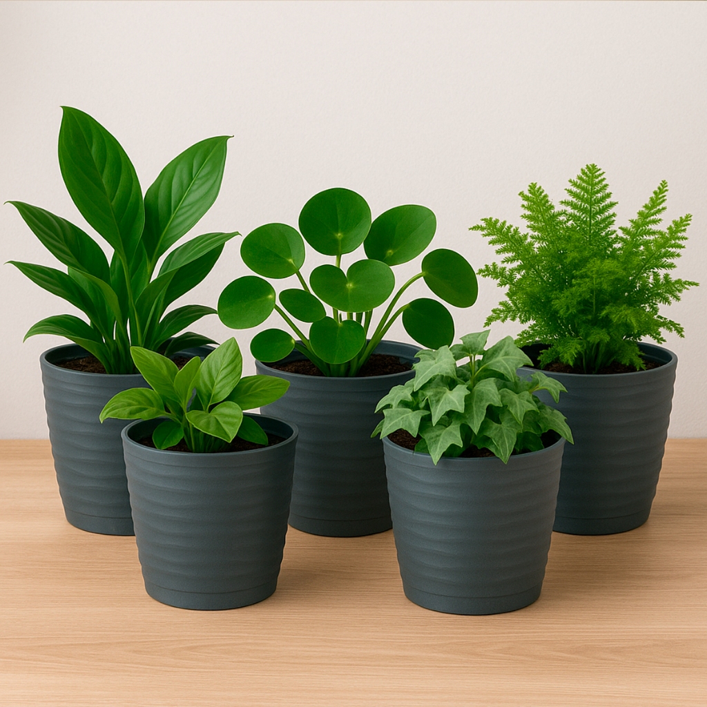 Kit 12 Vasos Jardineira Flor Planta Hortaliça Concreto Prato Anti Dengue DasPlast Plastico Reforçado em Oferta na Shopee