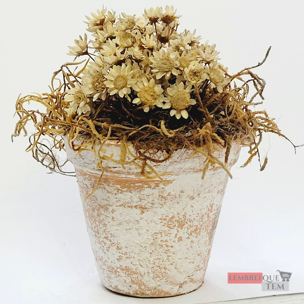 Vaso de barro branco com um arranjo de flores secas, margaridas - minimalista e campestre Vaso Minimalista