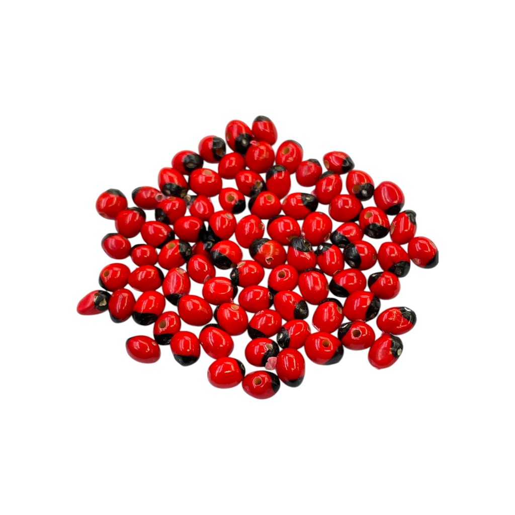 Semente Olho de Pombo com 10 UNIDADES em Oferta na Shopee