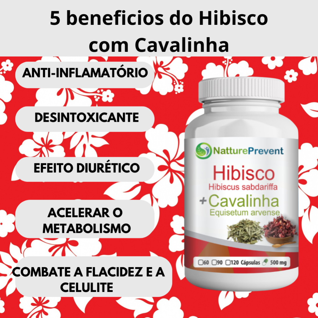 Hibisco com Cavalinha 500 mg 60 Cápsulas