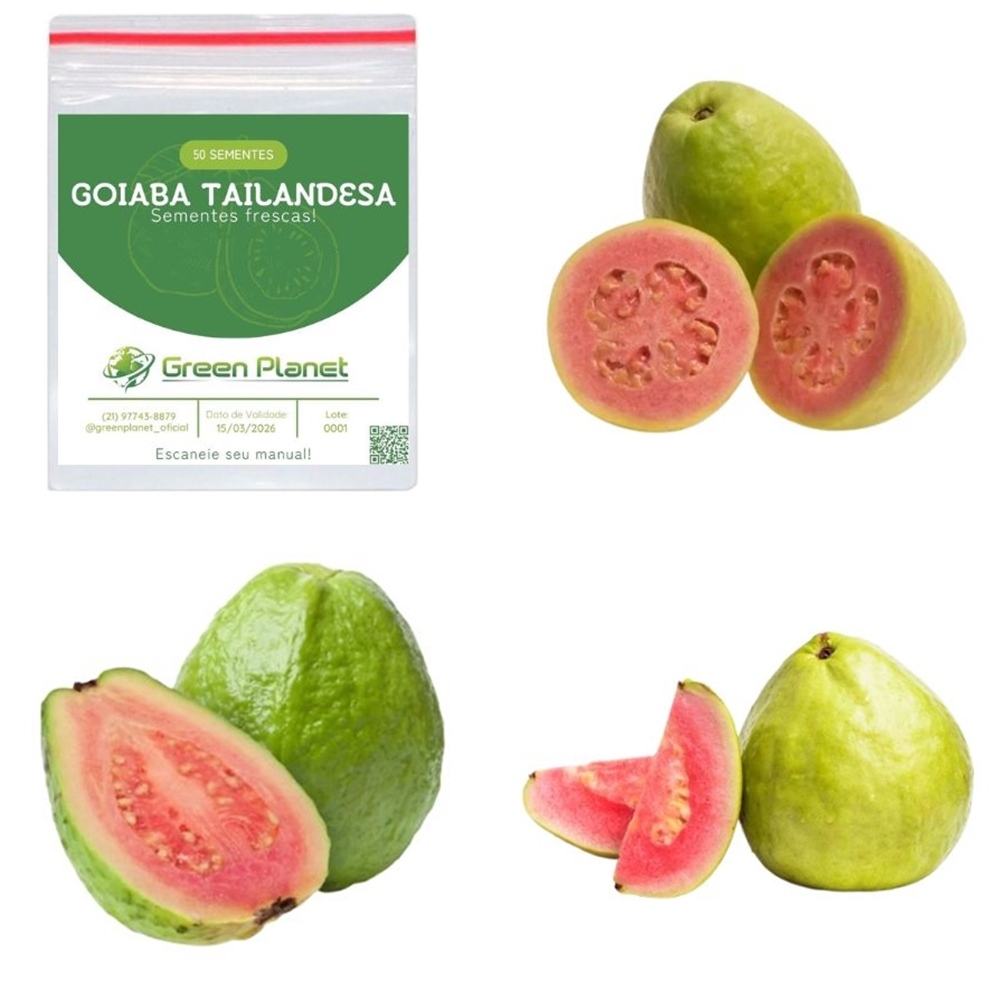 50 Sementes de Goiaba Tailandesa - Faça sua Horta!