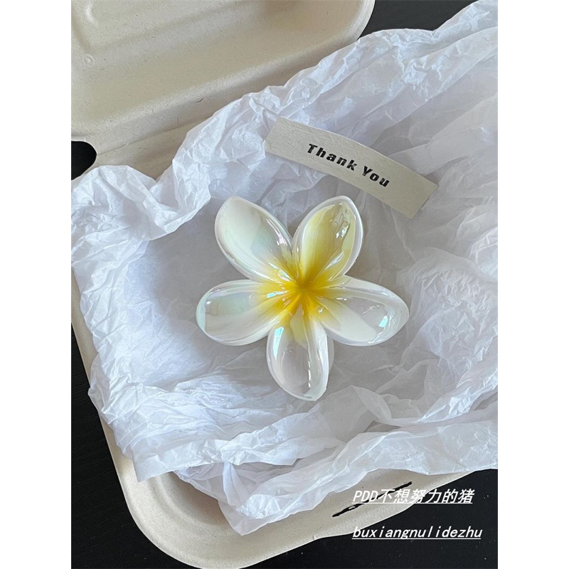 Kit 12 Peças Grampos piranha De Cabelo Flor De Feriado De Praia Barrettes em Oferta na Shopee