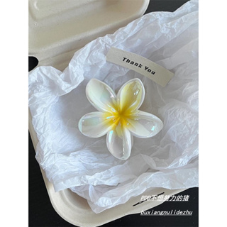 Kit 12 Peças Grampos piranha De Cabelo Flor De Feriado De Praia Barrettes em Oferta na Shopee