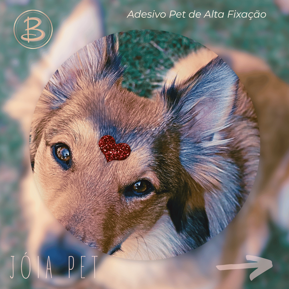 Kit Adesivo Pet Coração Alta Fixação (90 Unid) - Enfeite Banho e Tosa Pronto Para Uso Barbarella