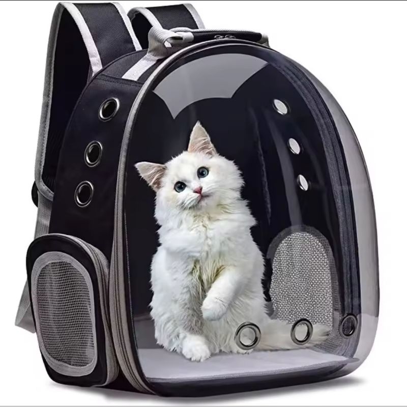 Mochila de transporte para animais de estimação, bolsa de viagem para gatos, transparente, respirável, para viagem