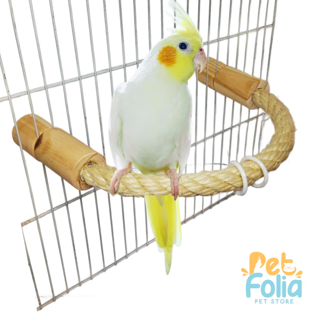 Poleiro Flexível de Sisal p/ Calopsita, Ring Neck, Agapornis, Periquitos e outras Aves - PetFolia