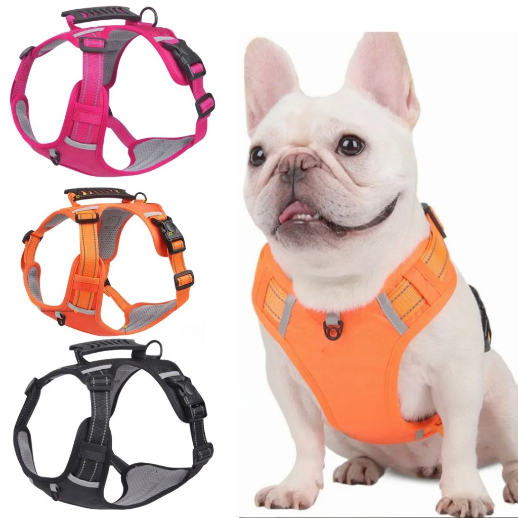 Peitoral Colete Reforçado Refletivo Com Gancho Para Placa de Identificação Cachorro Médio Grande Porte Premium em Oferta na Shopee