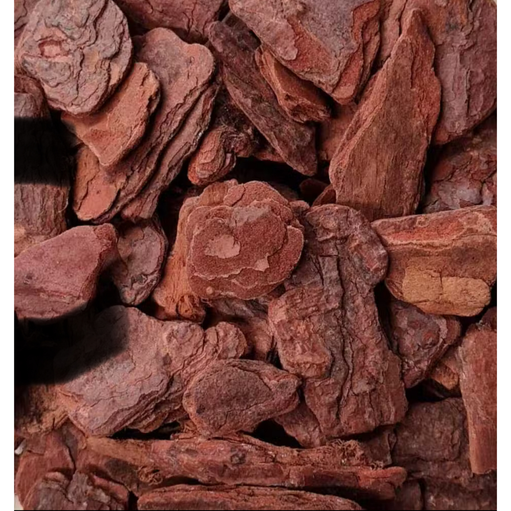 Casca De Pinus Semi Polida Natural Jardinagem Decoraçã em Oferta na Shopee