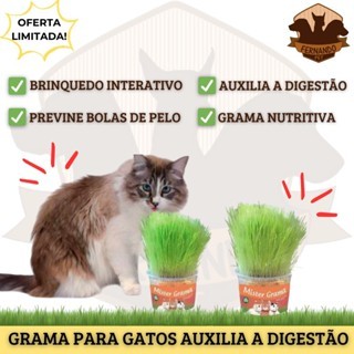 🌱🐱 Graminha Natural para Gatos Mister Grama | Auxilia Digestão e Elimina Bola de Pelo 🌱🐱 em Oferta na Shopee