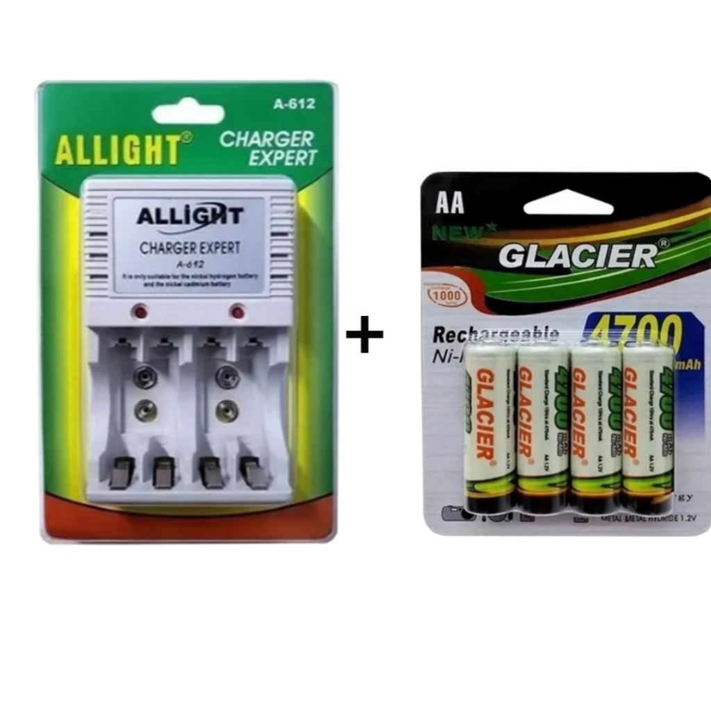 Carregador de Pilhas para Controles: Onde Comprar | BuscaProdutos