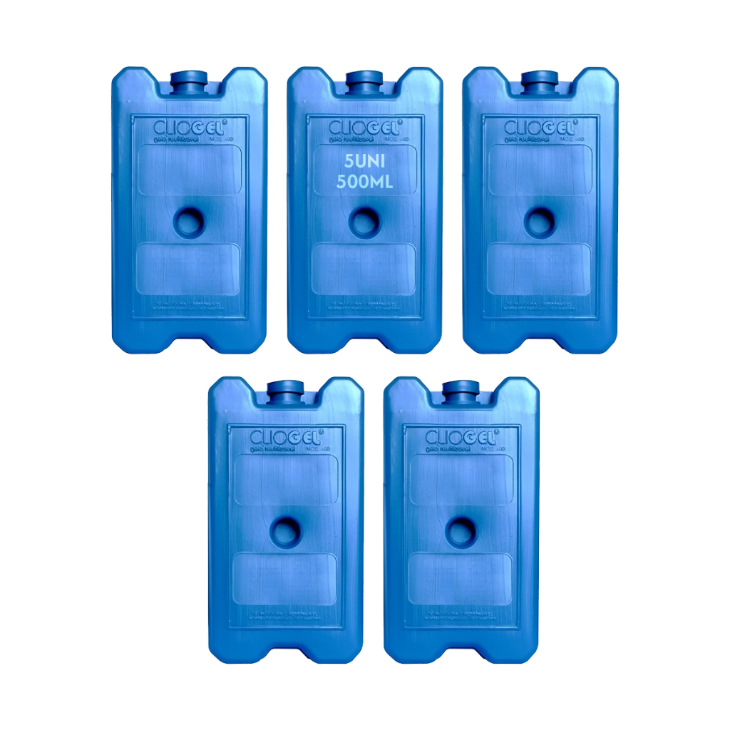 5 Placa Gelo Reutilizável 500ml Bolsa Térmica Caixa Isopor em Oferta na Shopee