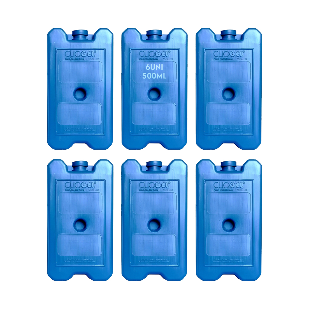 6 Placa Gelo Reutilizável 500ml Bolsa Térmica Caixa Isopor em Oferta na Shopee