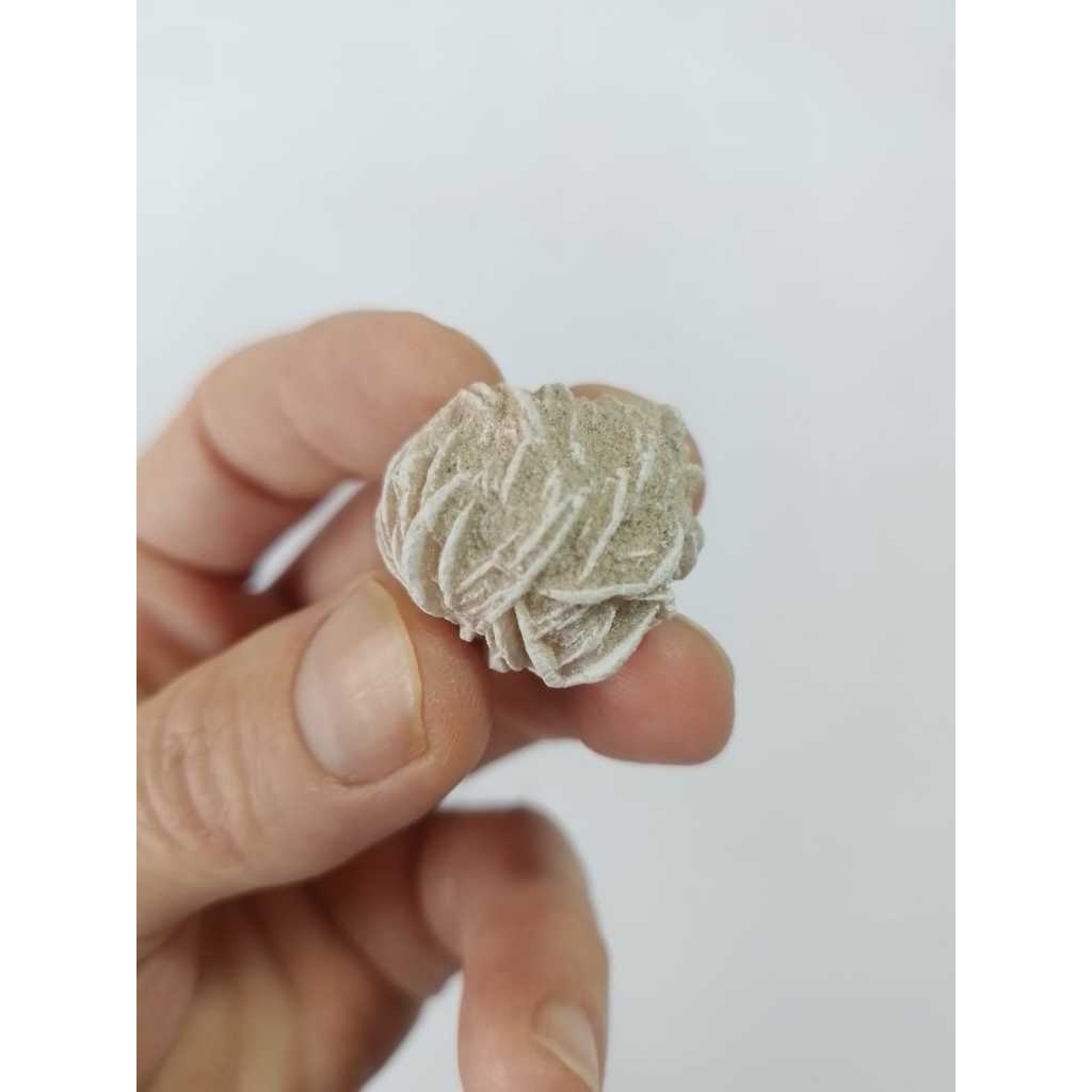 Rosa do Deserto (cod2672)