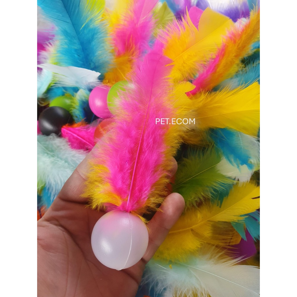 Kit 10 Brinquedo para Gato Bola com Pluminha Pena Peninha  Colorido com Chacoalho