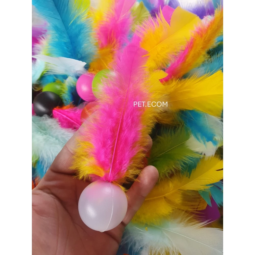 Kit 10 Brinquedo para Gato Bola com Pluminha Pena Peninha Colorido com Chacoalho