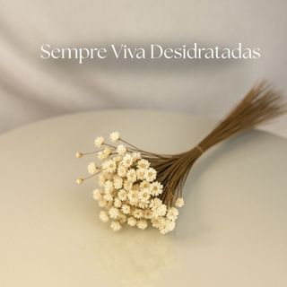 80 Galhos Flor Seca Sempre Viva Branca em Oferta na Shopee