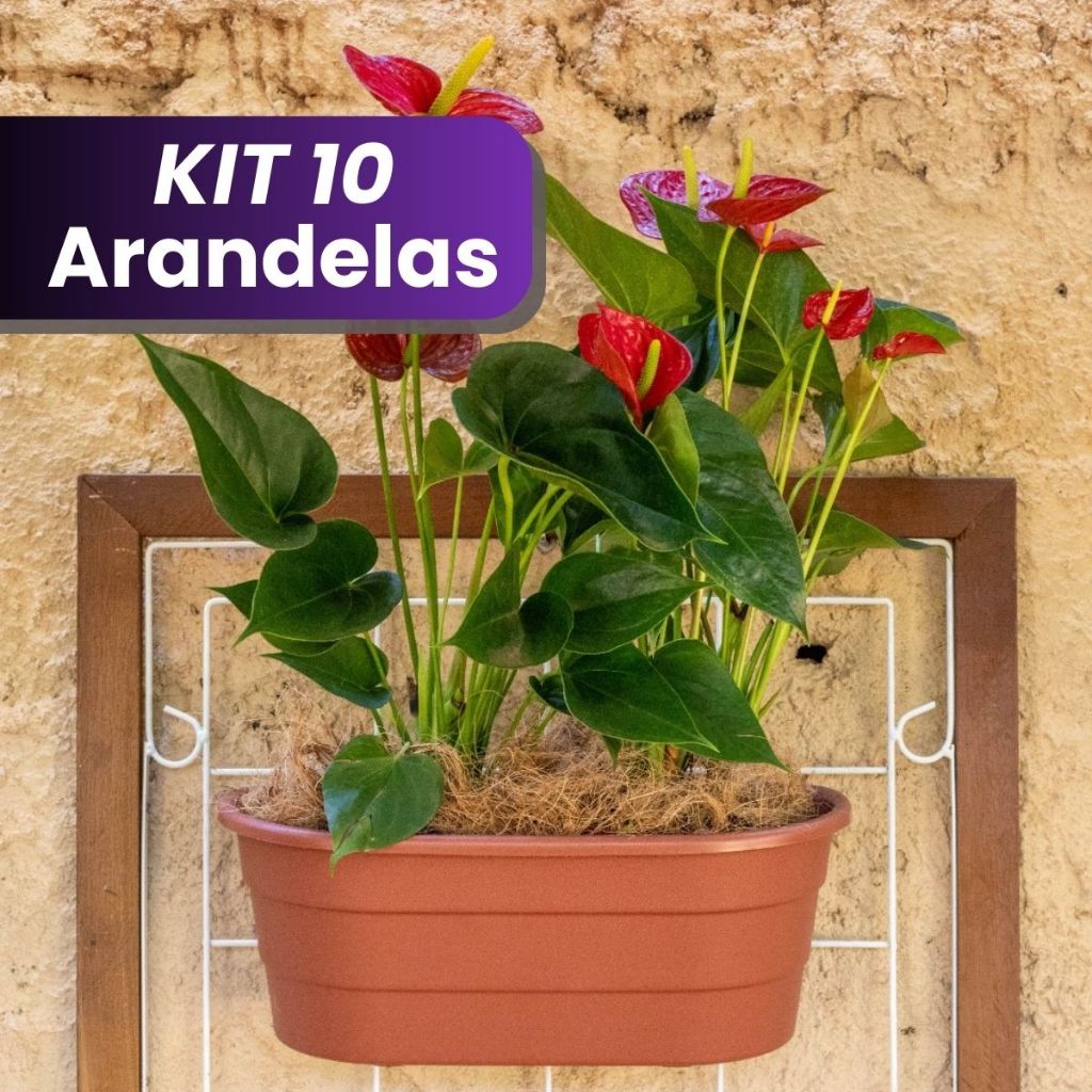 Kit 3 a 10 Vaso de parede Duplo plástico Arandela meia lua cuia 6L em Oferta na Shopee