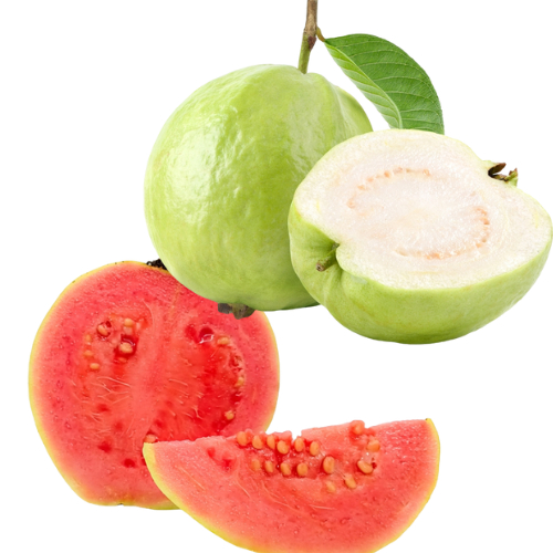 kit sementes 5 frutíferas contendo: Goiaba Vermelha, Goiaba Branca, Maracujá, Limão Galego e Mamão Papaia