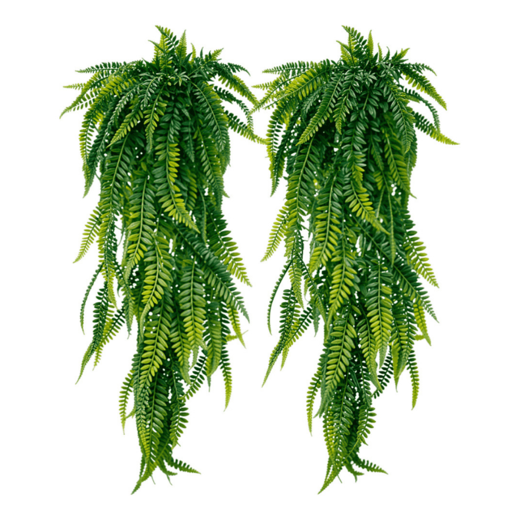 1 ou 2 Samambaias Artificiais 80cm Ambientes Internos e Externos Folhagem Pendente Realista em Oferta na Shopee