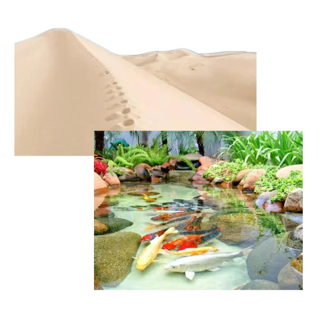 Areia Duna Fina Aquário Lago Peixe Carpa Lagos Ornamentais Vaso Vasos Axolote Terrario 5kg Jardim Aquarios