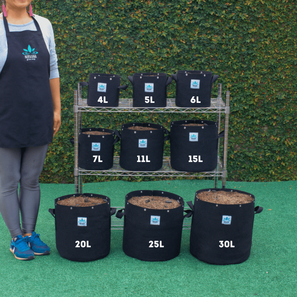 Vasos 7l: Guia Completo e Onde Comprar | BuscaProdutos