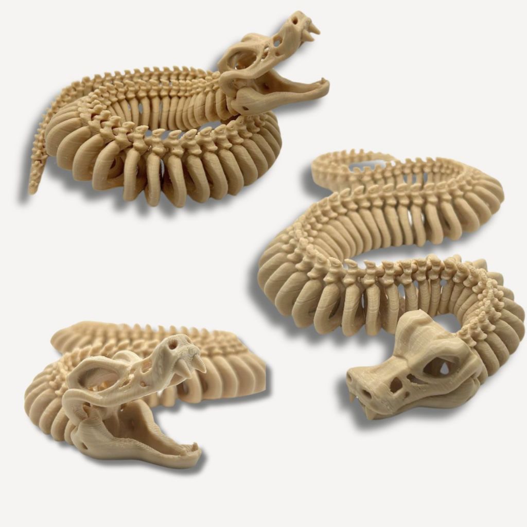 Cobra Esqueleto Articulada Brinquedo Réplica anatômica Naja Impressão 3D Articulações Móveis em Oferta na Shopee
