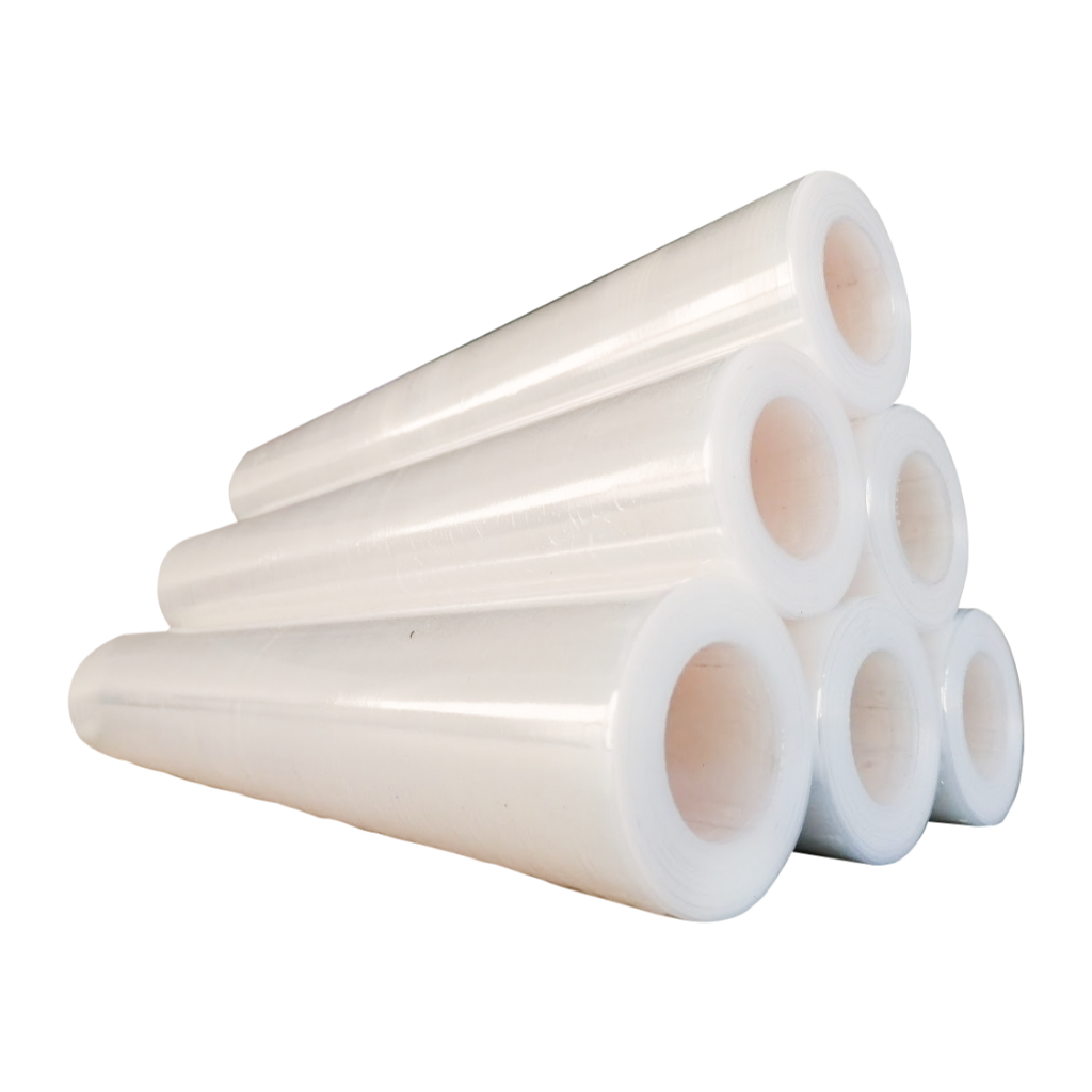 Transportadora Transparente: Onde Comprar | BuscaProdutos