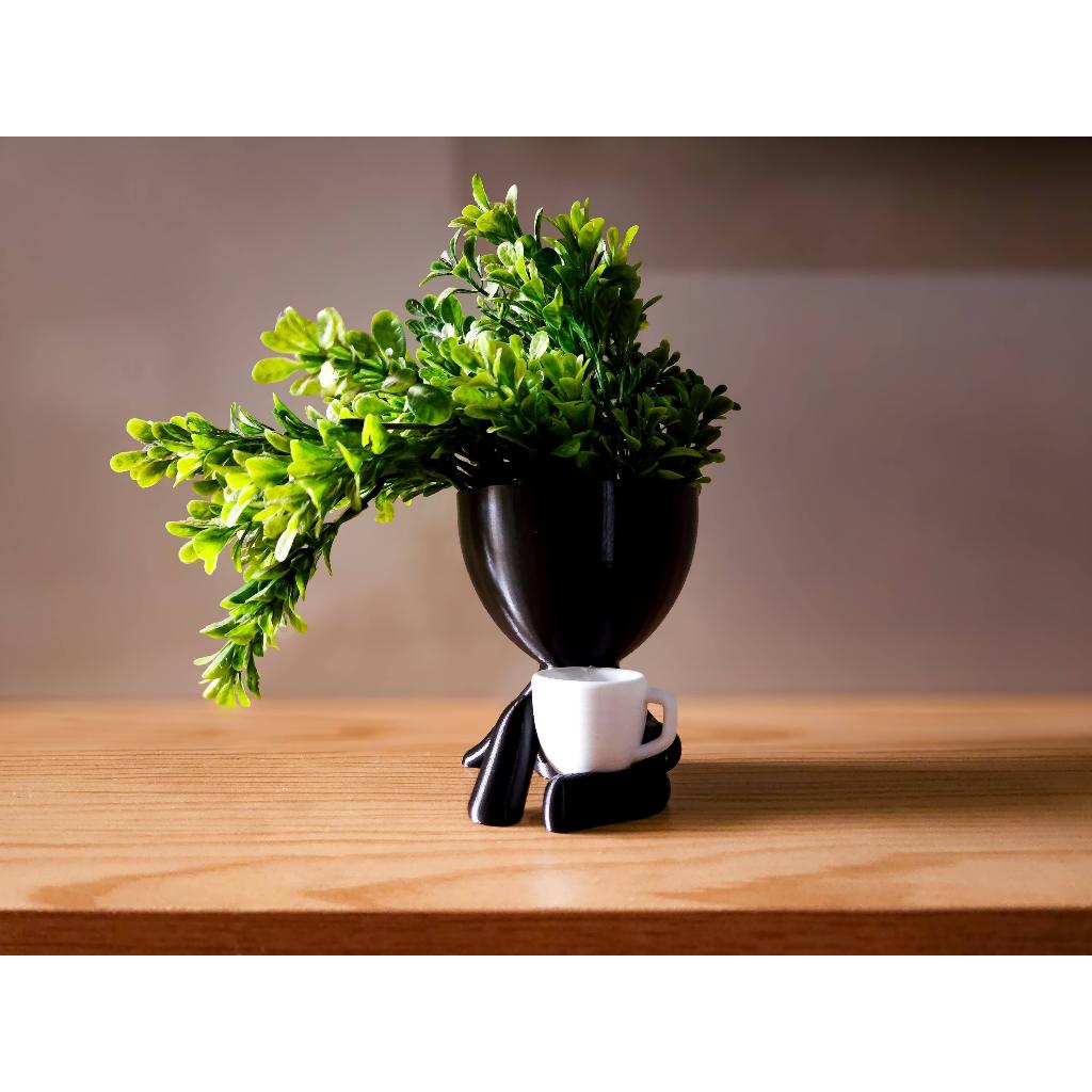 Vaso Decorativo Bob Robert Plant para Suculentas e Cactos | Cantinho do Café