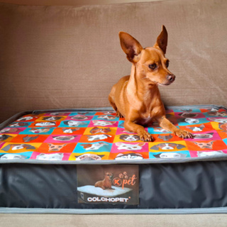 Colchão para cachorro-cama pet  - Tecido impermeável - Tamanho 60x50x10cm- Entrega imediato em Oferta na Shopee