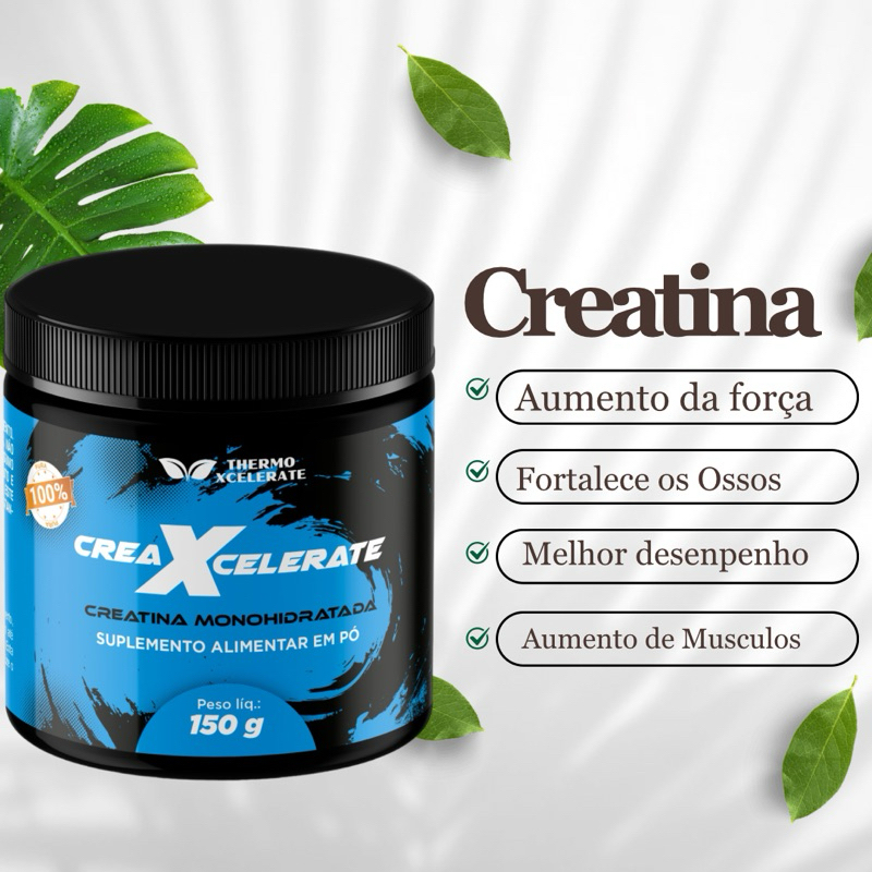 Musculo Creatina: Onde Comprar | BuscaProdutos