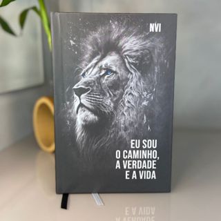 Bíblia Sagrada NVI HDC Leão Olho Azul Letras Médias Capa Dura E Índice HDC em Oferta na Shopee