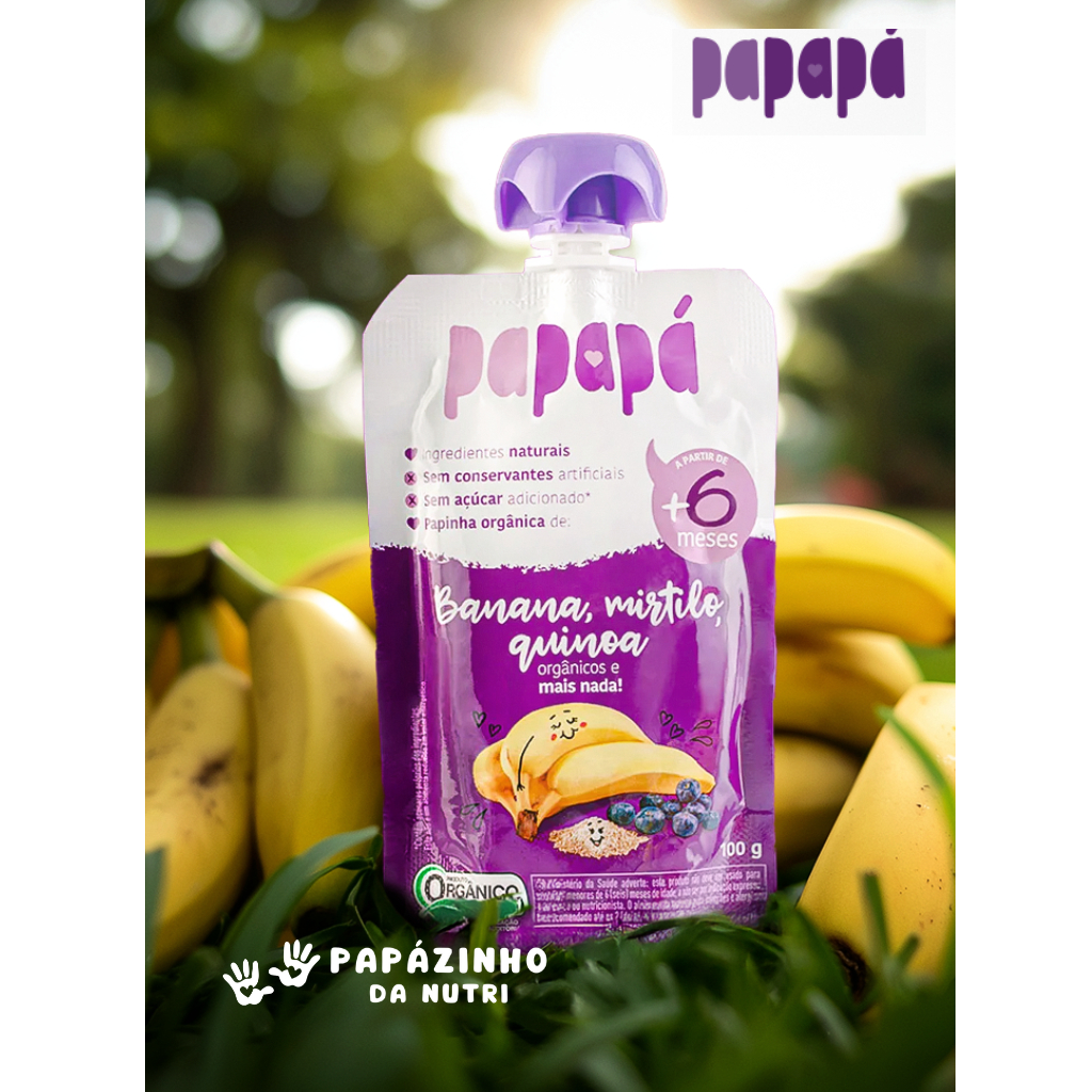 PAPAPA SABOR  BANANA, MIRTILO E QUINOA - PAPINHA ORGANICA 100G