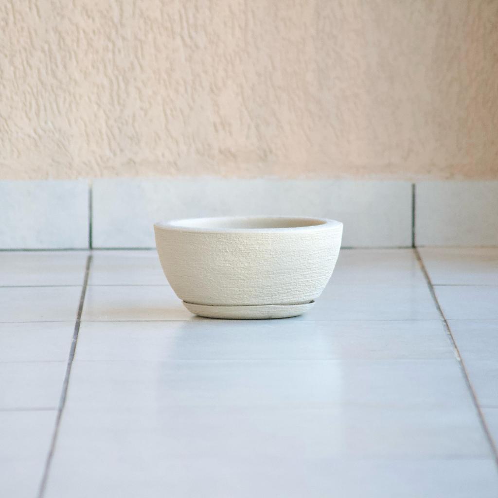 Bacia de Suculentas: Onde Comprar | BuscaProdutos