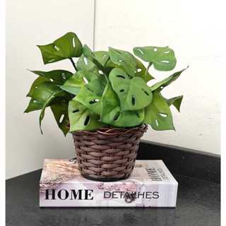 Arranjo Decorativo Para Sala Prateleiras Escritório Plantas Folhagem Realista 3D no Vaso Marrom Completo em Oferta na Shopee