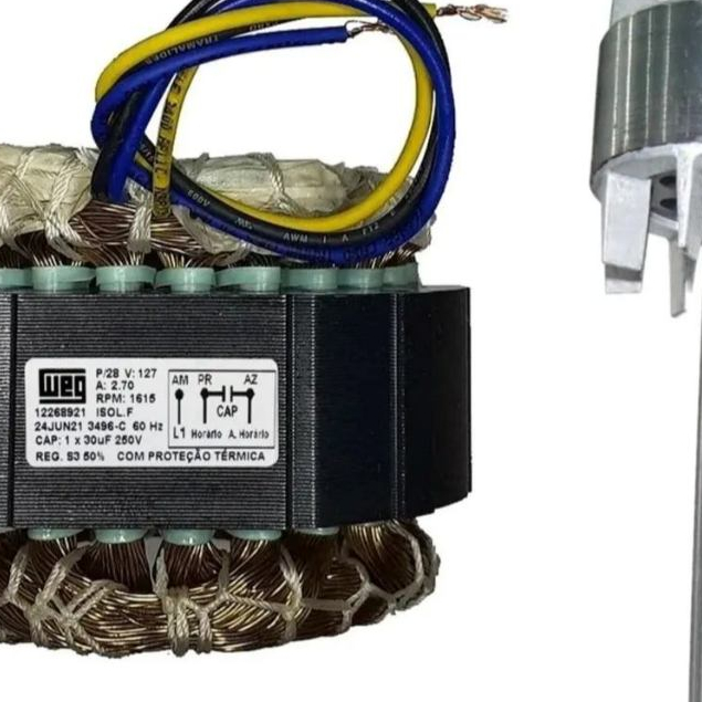 Estator Motor Rossi 1/4 110v Dz3 Nano Bv Bl3 Plp3 P28 Pivo