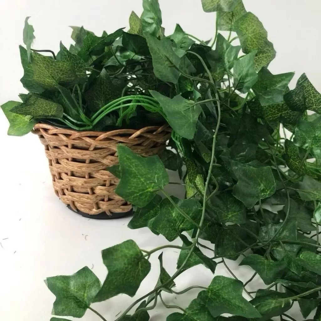 Arranjo c/ 3 Trepadeira Folha de Hera + Vaso Trançado Marrom