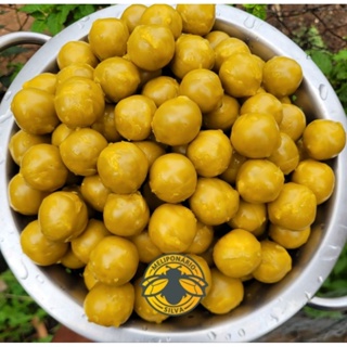 Bombom de pólen 150g,Alimentação para Jatai,Mandaçaia,Bugia,borá,Tubuna em Oferta na Shopee