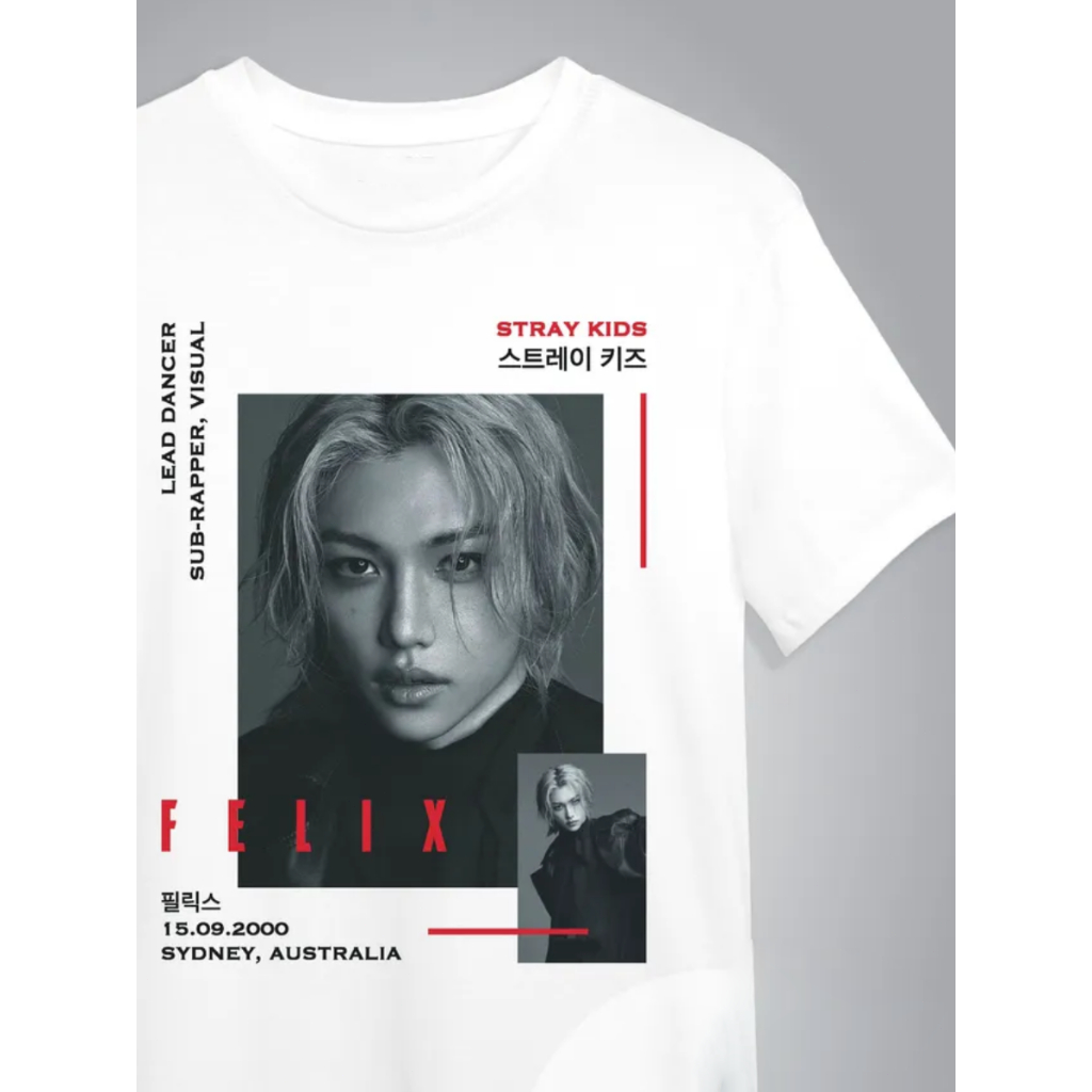 Camiseta Masculina Feminina Oversized Estampa Felix Stray Kids K‑Pop, Camiseta Streetwear Estampada com Foto Integrante