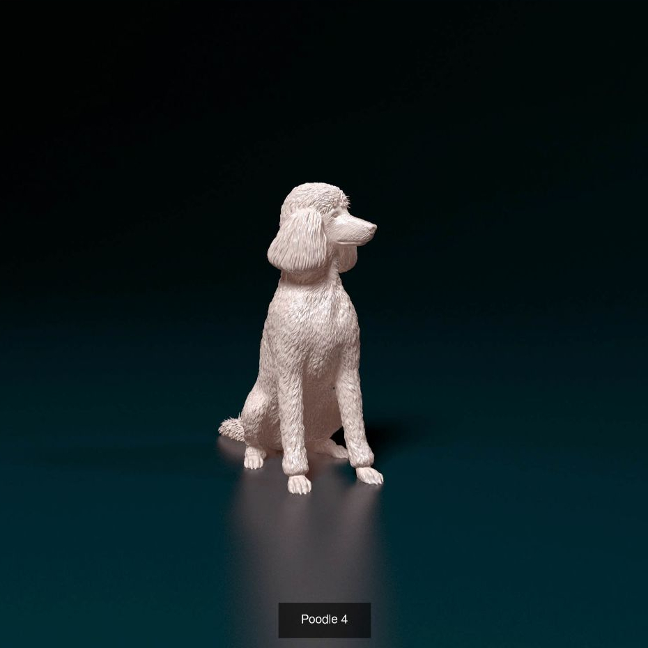 Miniatura Poodle Toy - Pintura Personalizada ou Cor única - Estátua de Cachorro Impressão 3D