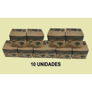 10 Unidades Mini Kit Vamos Plantar Trevo da Sorte