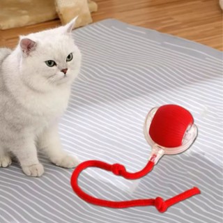 Brinquedos Inteligentes Para Gatos Bola De Rolamento Automática Cauda Falsa Recarregável …